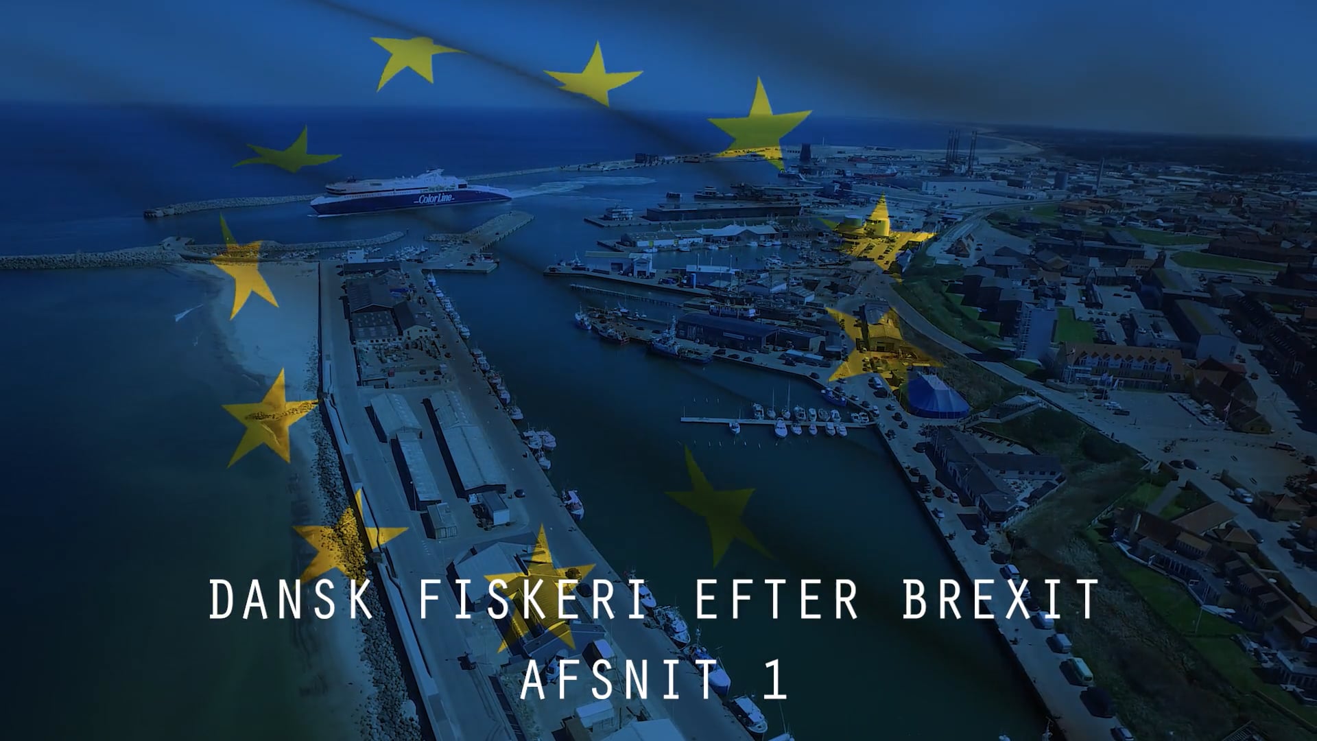 Dansk Fiskeri efter Brexit (1)