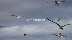 EU nord for København del 1